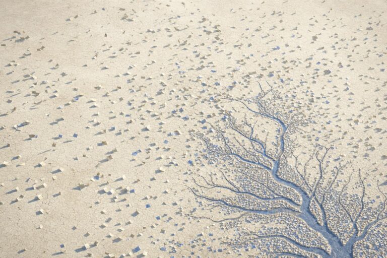 An aerial view of a braided river spreading in fine channels across pale sand